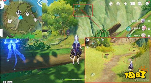 原神妮露角色全突破材料路线图大全 妮露材料详细收集位置一览