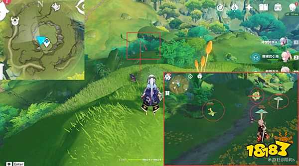 原神妮露角色全突破材料路线图大全 妮露材料详细收集位置一览