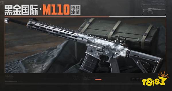 暗区突围M110黑金国际涂装是什么 M110黑金国际涂装介绍