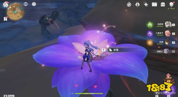 原神忧昙花收集位置大全 忧昙花全收集路线汇总