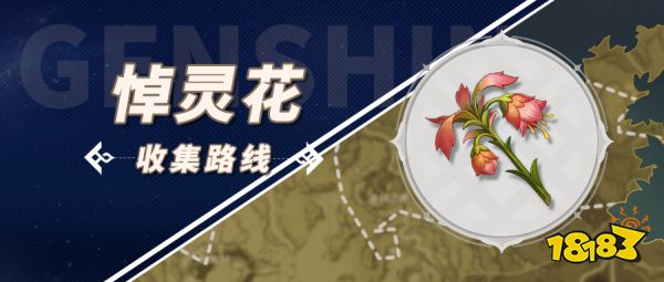 原神悼灵花采集位置大全 悼灵花采集详细路线分布图