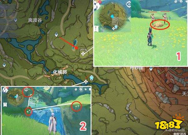 原神劫波莲采集路线大全 劫波莲详细收集图文位置分享