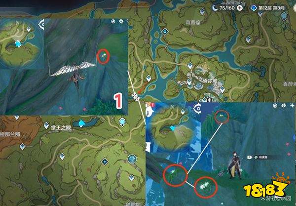 原神劫波莲采集路线大全 劫波莲详细收集图文位置分享