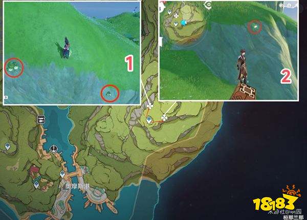 原神劫波莲采集路线大全 劫波莲详细收集图文位置分享