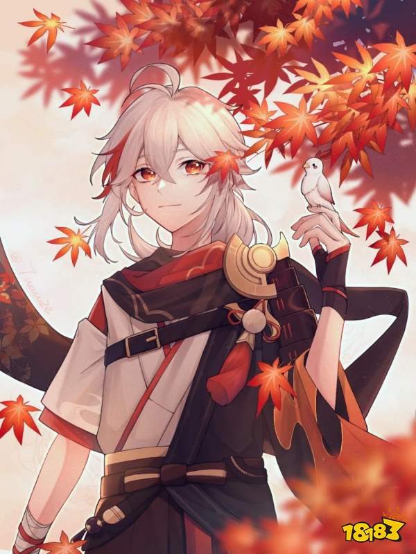 原神3.7版本卡池角色爆料 3.7版本up池角色提前预告