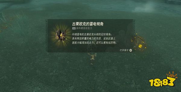 塞尔达传说王国之泪雷电古栗欧克怎么打 雷电古栗欧克打法攻略