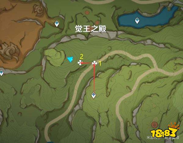 原神帕蒂沙兰材料采集图文路线 帕蒂沙兰突破材料位置图