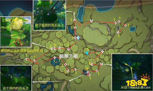 原神帕蒂沙兰材料采集图文路线 帕蒂沙兰突破材料位置图
