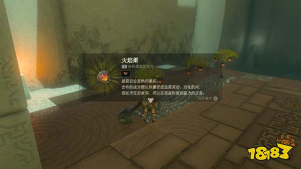 塞尔达传说王国之泪伊恩伊萨神庙怎么过 伊恩伊萨神庙图文解谜攻略