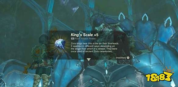 塞尔达传说王国之泪多雷凡大王在哪 多雷凡大王地图位置介绍