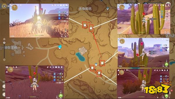 原神80个赤念果采集路线图大全 赤念果收集路线攻略