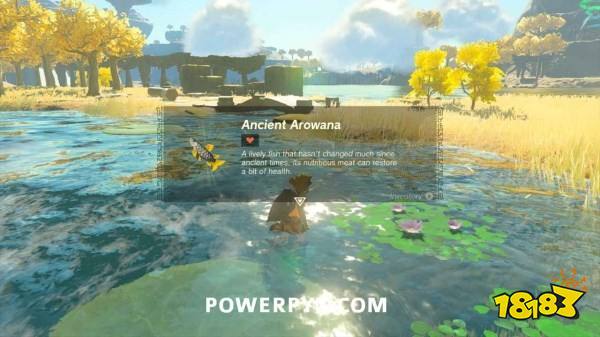 塞尔达传说王国之泪远昔骨舌鱼鳞片在哪 远昔骨舌鱼鳞片获得方法介绍