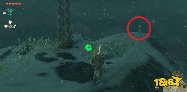 塞尔达传说王国之泪利特村的丘栗任务怎么做 利特村的丘栗任务攻略