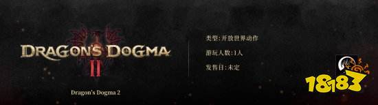 《龙之信条2》无合作模式 官网显示为单人游戏