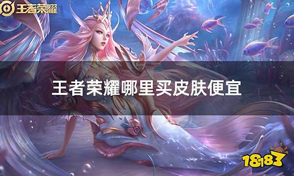 王者荣耀哪里买皮肤便宜 王者皮肤折扣购买攻略分享