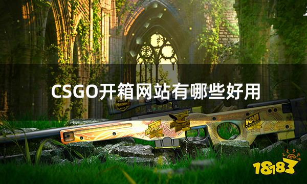 CSGO开箱网站有哪些好用 十个公认最好的csgo开箱网站推荐