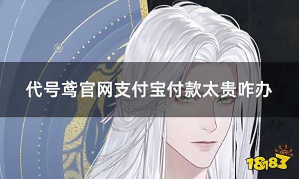 代号鸢官网支付宝充值太贵咋办 支付宝充值代号鸢便宜方法分享