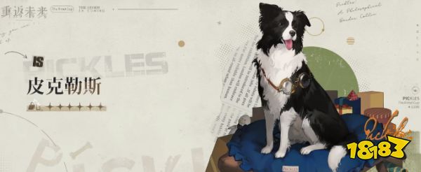 《重返未来:1999》1.1版本【雷米特杯失窃案】上线 一人一狗UP池