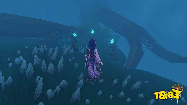 原神鹤观岛迷雾解除攻略 鹤观岛解除迷雾图文流程