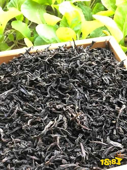 普通家庭要如何储存茶叶?