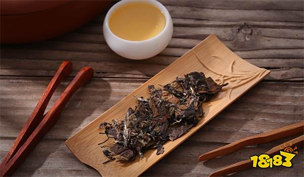 白茶适合什么季节喝 适合喝白茶的季节介绍