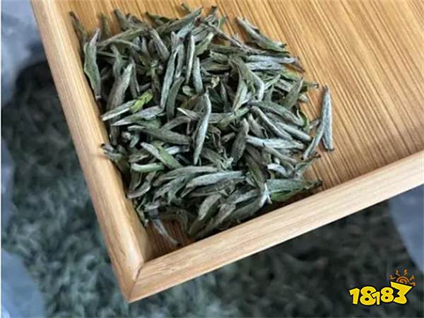 白茶适合什么季节喝 适合喝白茶的季节介绍