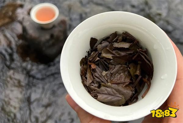白茶怎么泡才正确 白茶冲泡方法详解