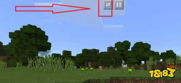 我的世界寻找林地府邸指令