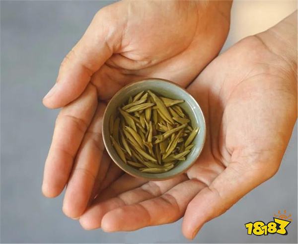 白茶可以冷泡吗 冷泡白茶方法分享