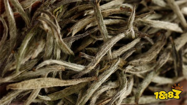 政和白茶哪个品牌好 好喝的白茶牌子推荐