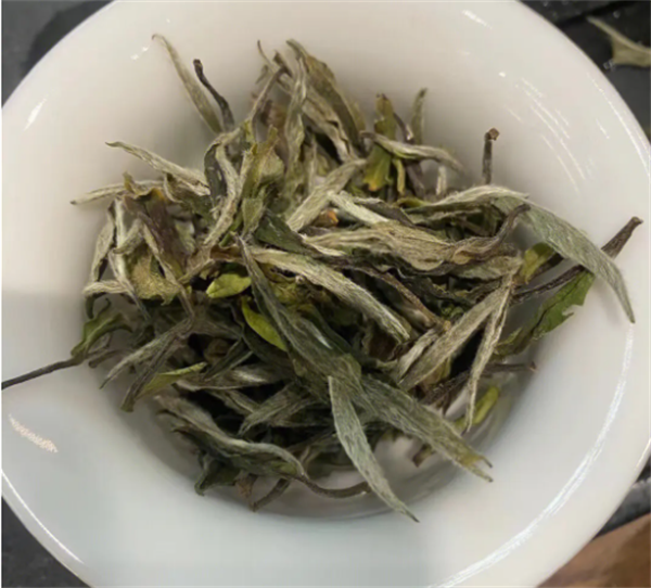 隐秘于日常的‘三白不染’艺术之美