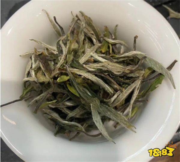 政和白茶哪个品牌好 好喝的白茶牌子推荐