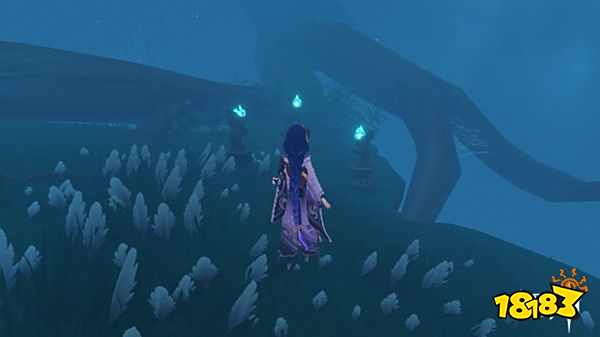 原神鹤观岛迷雾怎么解除 鹤观岛迷雾去除攻略分享