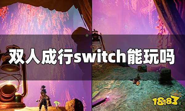 双人成行switch能玩吗 双人成行switch