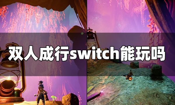 双人成行switch能玩吗 双人成行switch