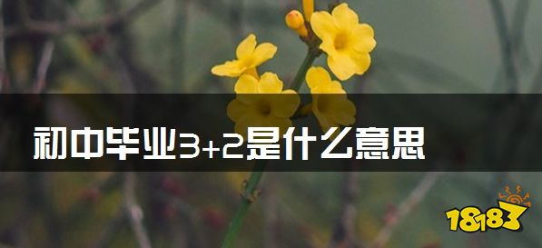 初中毕业3+2是什么意思 毕业什么文凭