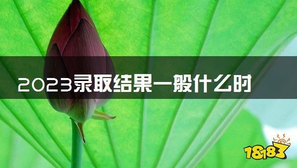 2023录取结果一般什么时候出来 在哪查询