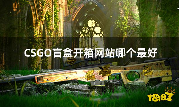 CSGO盲盒开箱网站哪个最好 5大csgo盲盒开箱网站推荐