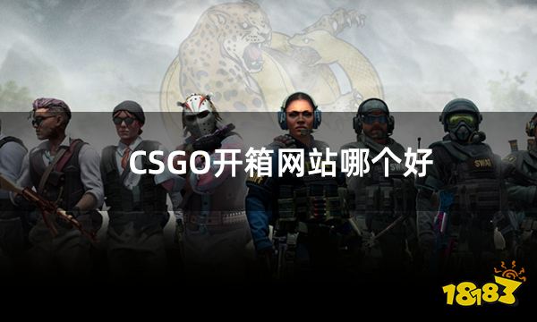 CSGO开箱网站哪个好 5个公认最好的csgo开箱网站盘点