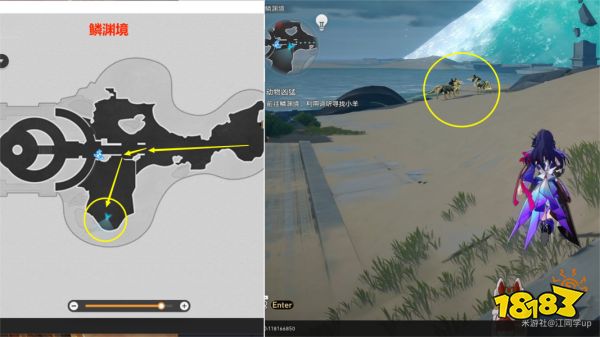 崩坏星穹铁道动物凶猛任务怎么做 动物凶猛任务攻略