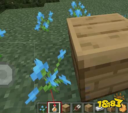 我的世界怎么采集蜂蜜