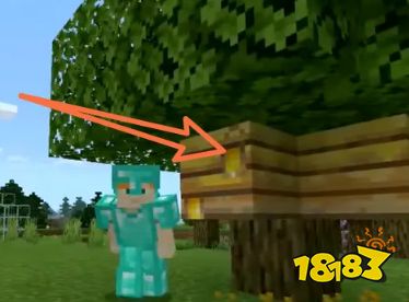 我的世界怎么采集蜂蜜