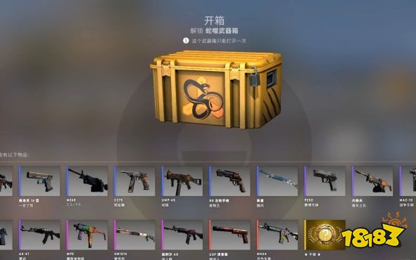 CSGO回本率最高的箱子介绍 csgo性价比最高的箱子分享