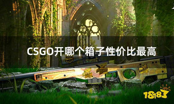 CSGO开哪个箱子性价比最高 csgo低成本开箱方法分享