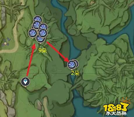 原神树王圣体菇快速采集路线图 树王圣体菇收集位置