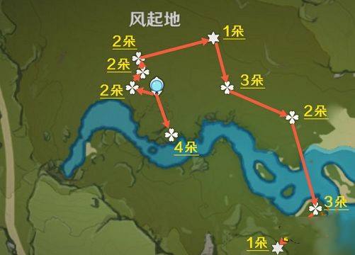 原神风车菊采集地点位置有哪些 风车菊收集路线图