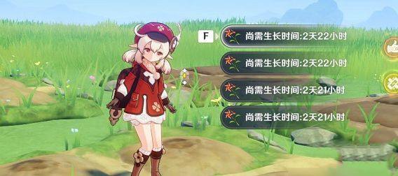 原神风车菊采集地点位置有哪些 风车菊收集路线图