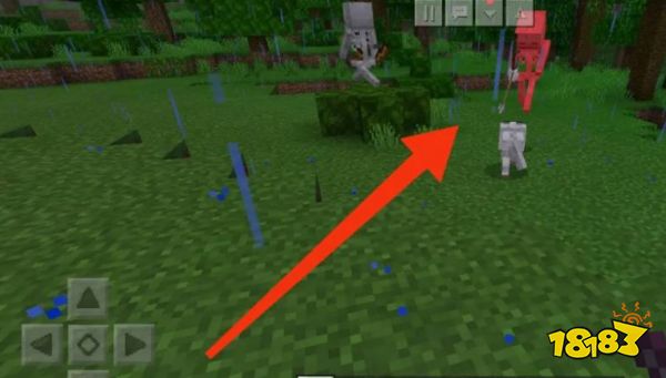 我的世界怎么驯服狼