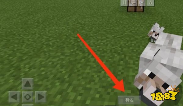 我的世界怎么驯服狼