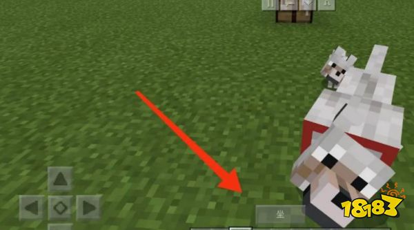 我的世界怎么驯服狼